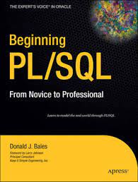 Beginning PL/SQL: From Novice to Professional